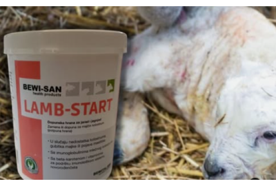 Električni pastiri - uputstvo za početnike