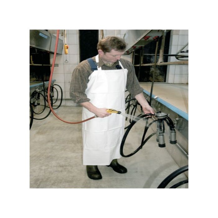 Kecelja bela kiselootporna