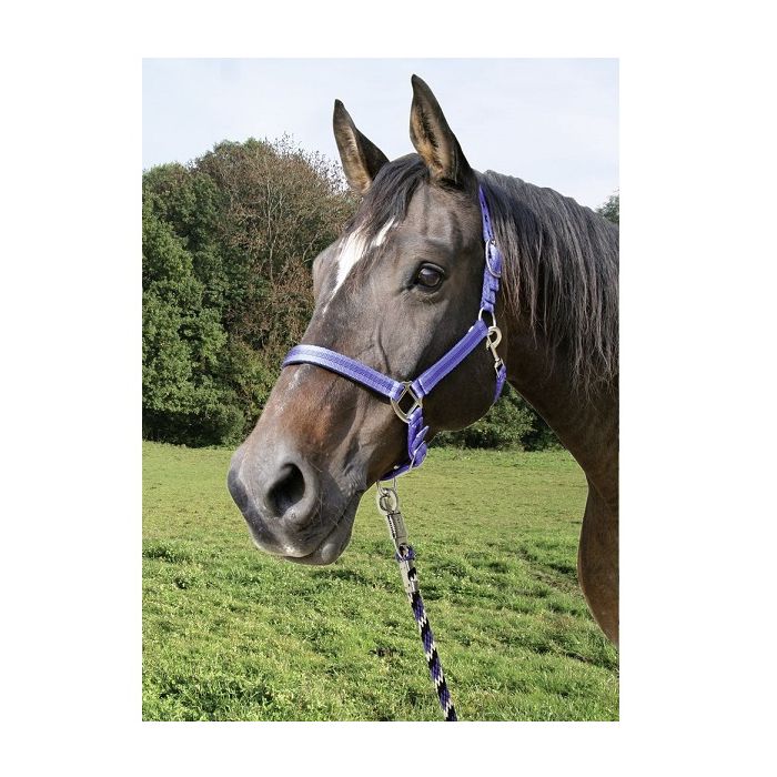 Uže za vođenje konja