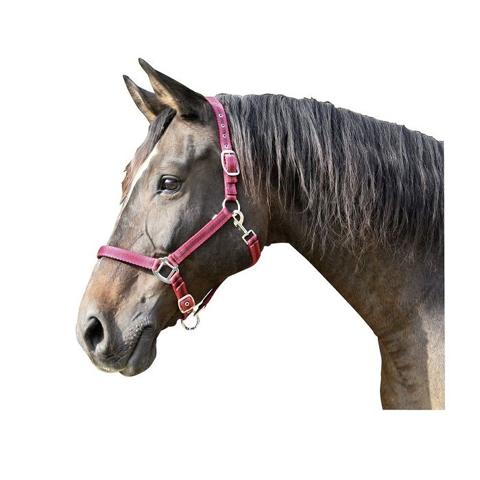 Ular za konje crveno-crni Mustang ( 2 )