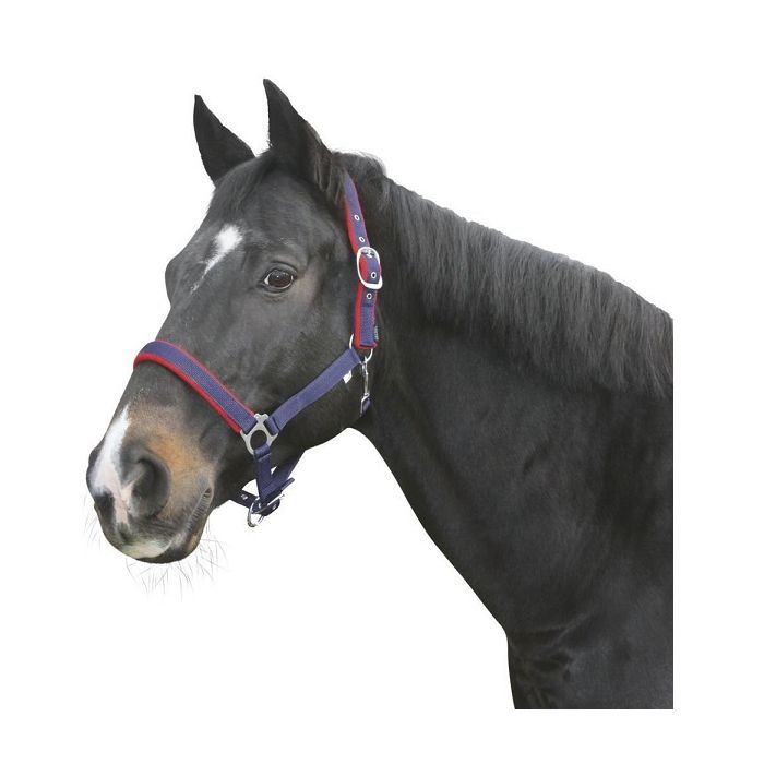 Ular za konje plavi Dexter ( 2 )