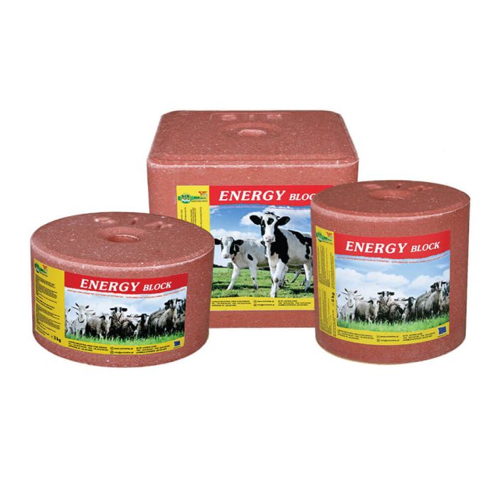 ENERGY Block - energetski blok