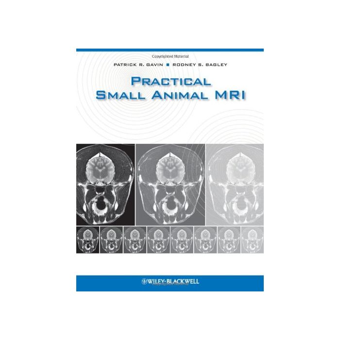 Practical Small Animal MRI
