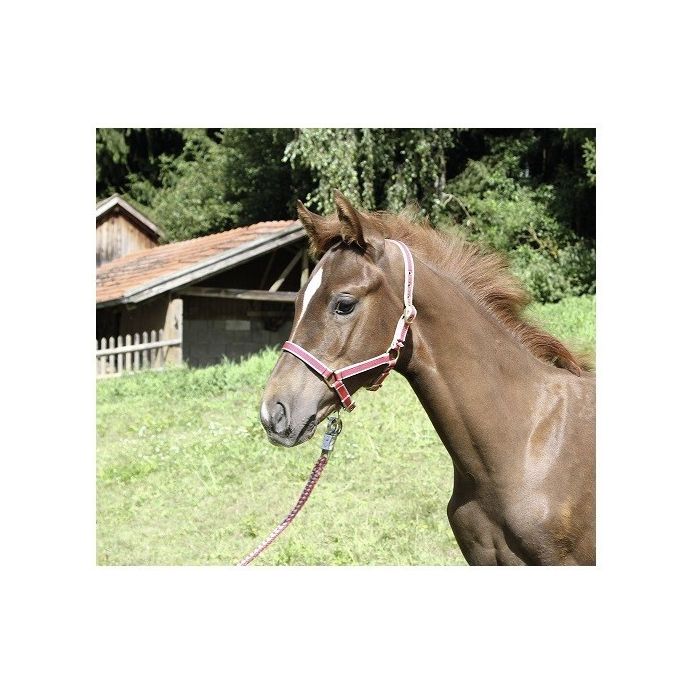 Ular za konje exclusive crveni