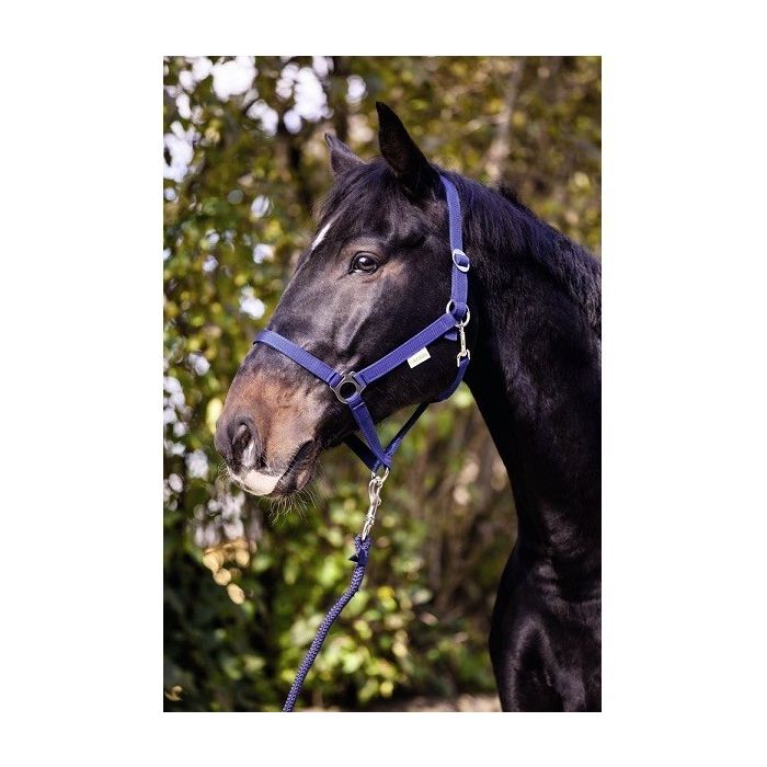 Ular za konje classic plavi 2