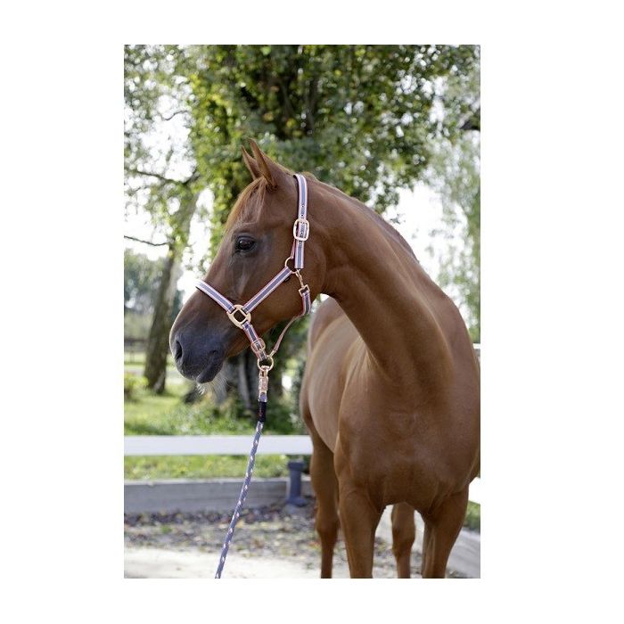 Ular za konje sivo-roze-beli Cora