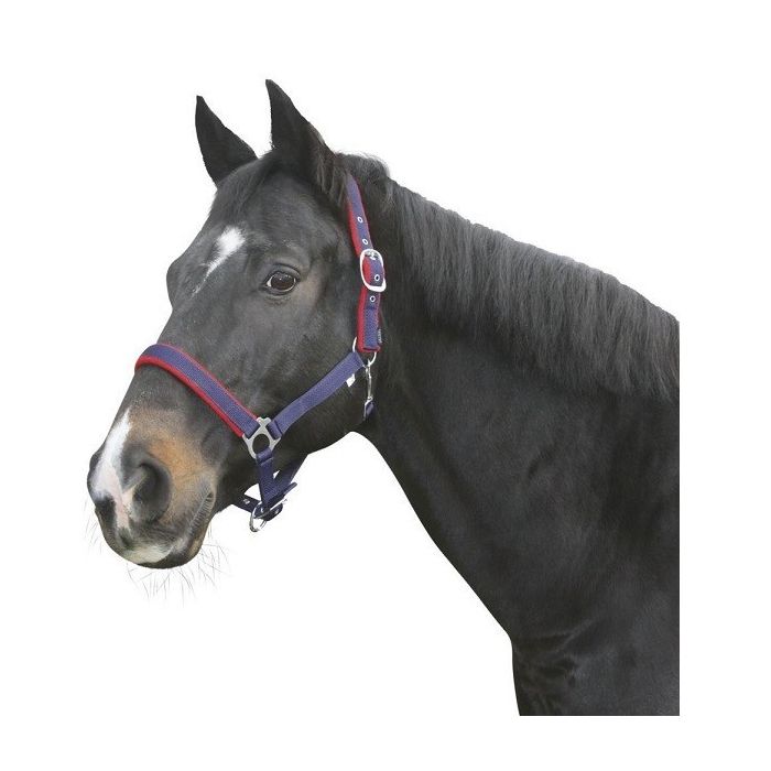 Ular za konje plavi 2cob Dexte