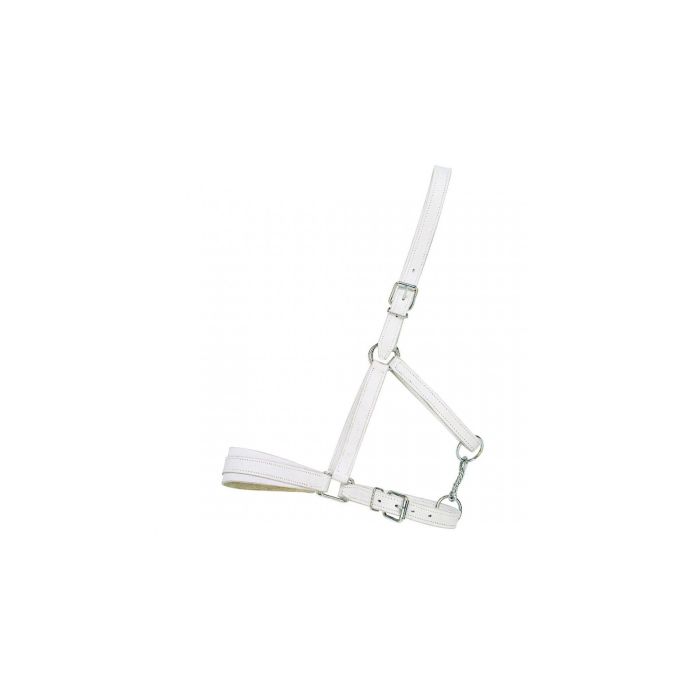 Ular za konje ojačani kožni beli