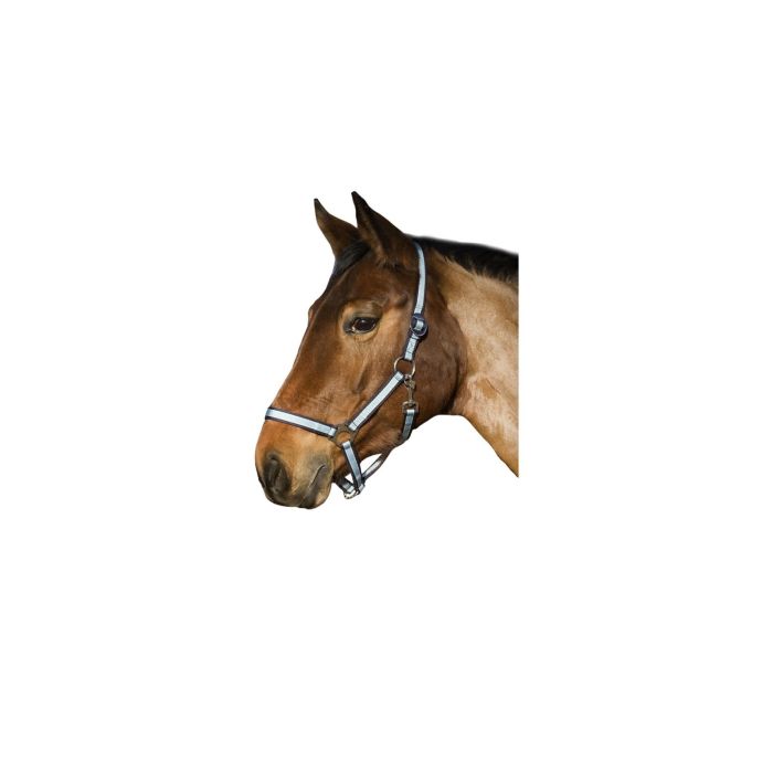 Ular za konje 3 full svetlo plavi