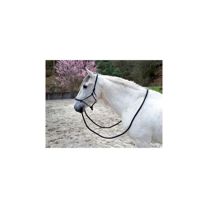 Ular za konje sa dizginom crni pleteni 3 full Norton