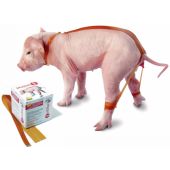 Traka protiv rasklizavanja nogu prasadi