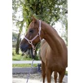 Ular za konje sivo-roze-beli Cora