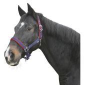 Ular za konje plavi 2cob Dexte