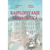 Rasplođivanje krava i junica